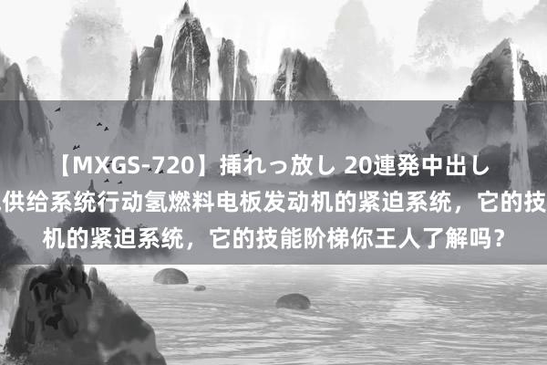 【MXGS-720】挿れっ放し 20連発中出し 人妻女雀士 雪菜 氢气供给系统行动氢燃料电板发动机的紧迫系统，它的技能阶梯你王人了解吗？