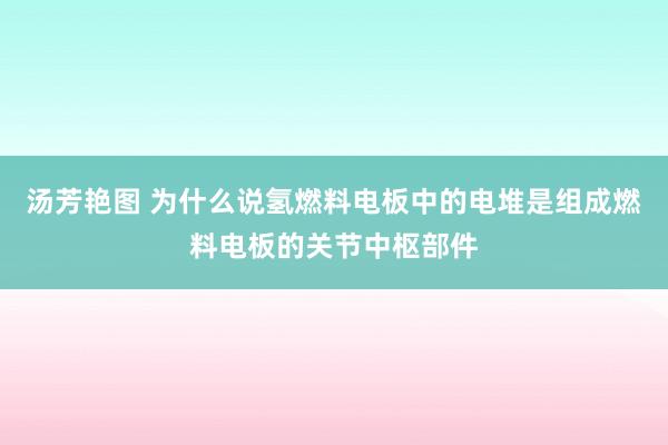 汤芳艳图 为什么说氢燃料电板中的电堆是组成燃料电板的关节中枢部件