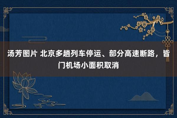 汤芳图片 北京多趟列车停运、部分高速断路，皆门机场小面积取消