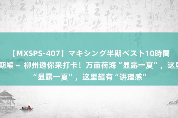 【MXSPS-407】マキシング半期ベスト10時間 ～2015年上半期編～ 柳州邀你来打卡！万亩荷海“显露一夏”，这里超有“讲理感”