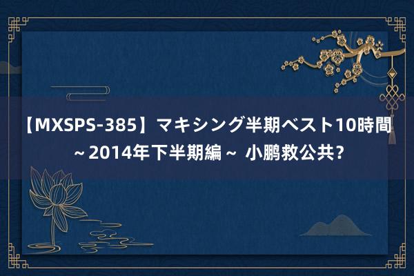 【MXSPS-385】マキシング半期ベスト10時間 ～2014年下半期編～ 小鹏救公共？