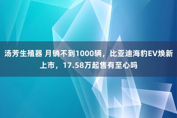 汤芳生殖器 月销不到1000辆，比亚迪海豹EV焕新上市，17.58万起售有至心吗