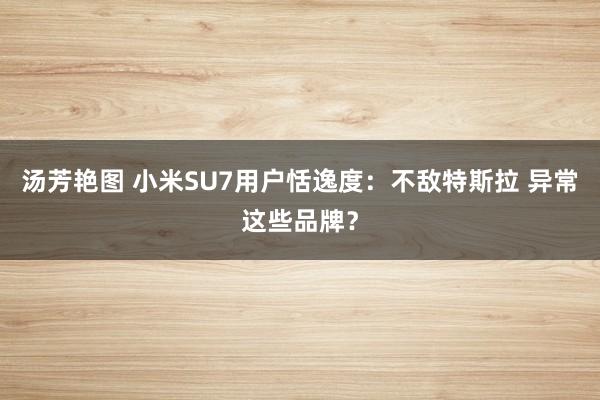 汤芳艳图 小米SU7用户恬逸度：不敌特斯拉 异常这些品牌？