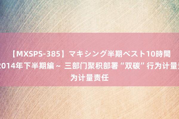 【MXSPS-385】マキシング半期ベスト10時間 ～2014年下半期編～ 三部门聚积部署“双碳”行为计量责任