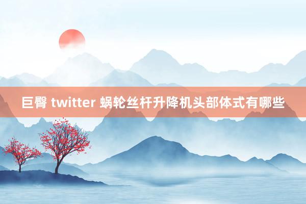 巨臀 twitter 蜗轮丝杆升降机头部体式有哪些