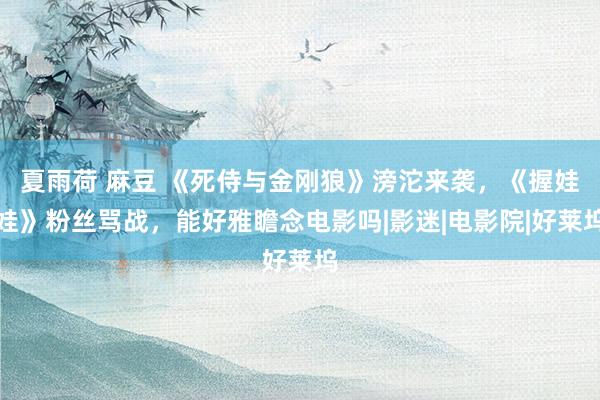 夏雨荷 麻豆 《死侍与金刚狼》滂沱来袭，《握娃娃》粉丝骂战，能好雅瞻念电影吗|影迷|电影院|好莱坞