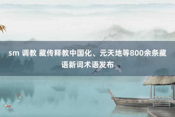 sm 调教 藏传释教中国化、元天地等800余条藏语新词术语发布