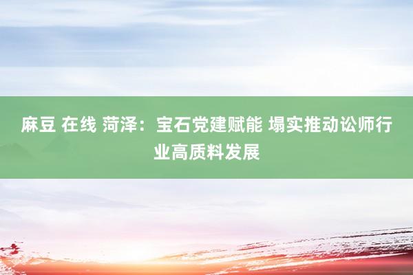 麻豆 在线 菏泽：宝石党建赋能 塌实推动讼师行业高质料发展