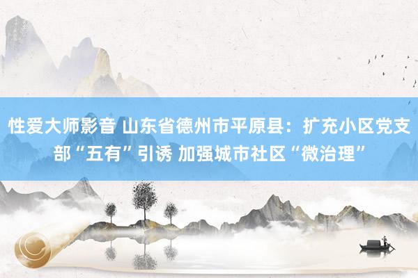 性爱大师影音 山东省德州市平原县：扩充小区党支部“五有”引诱 加强城市社区“微治理”