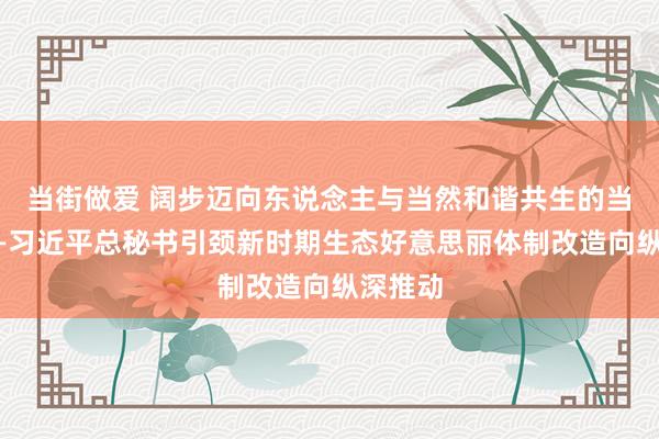 当街做爱 阔步迈向东说念主与当然和谐共生的当代化——习近平总秘书引颈新时期生态好意思丽体制改造向纵深推动